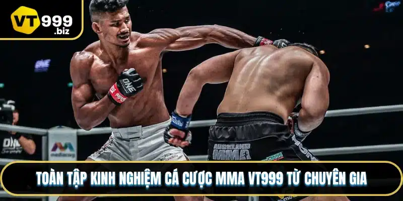 Cá cược MMA vt999