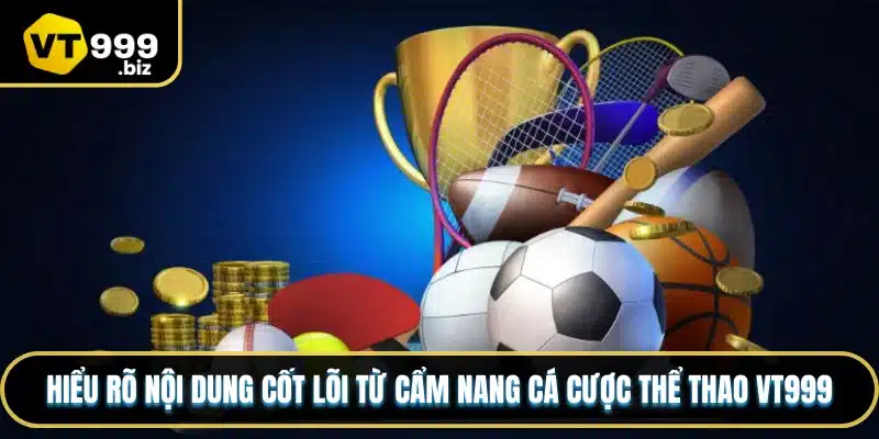 Vai trò của cẩm nang cá cược thể thao VT999