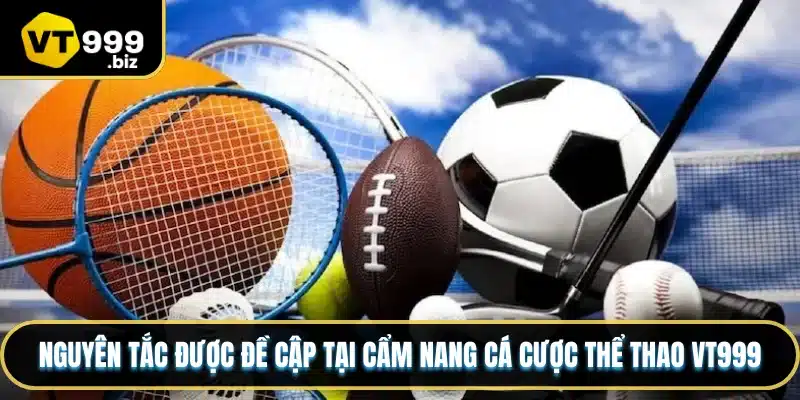 Nguyên tắc được đề cập tại cẩm nang cá cược thể thao VT999