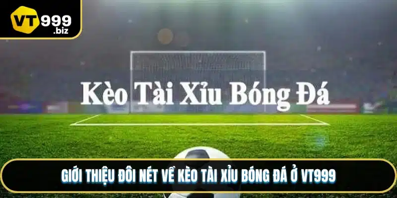 Giới thiệu đôi nét về kèo tài xỉu bóng đá ở VT999