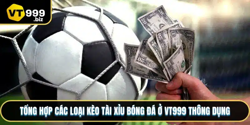 Tổng hợp các loại kèo tài xỉu bóng đá ở VT999 thông dụng
