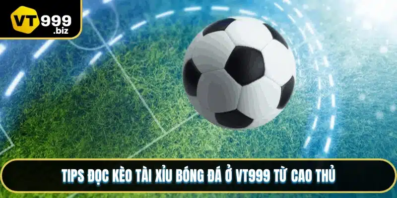 Tips đọc kèo tài xỉu bóng đá ở VT999 từ cao thủ