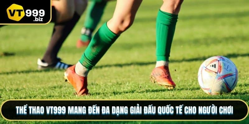 Thể thao vt999 mang đến đa dạng giải đấu quốc tế cho người chơi